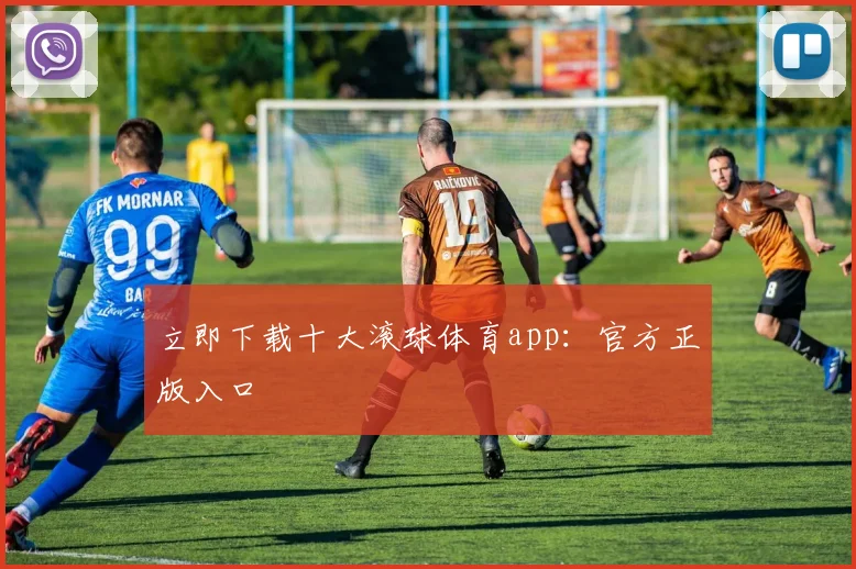 立即下载十大滚球体育app：官方正版入口