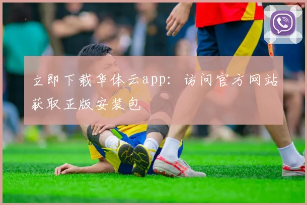 立即下载华体云app：访问官方网站获取正版安装包