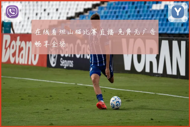 在线看坦山猫比赛直播 免费无广告畅享全场