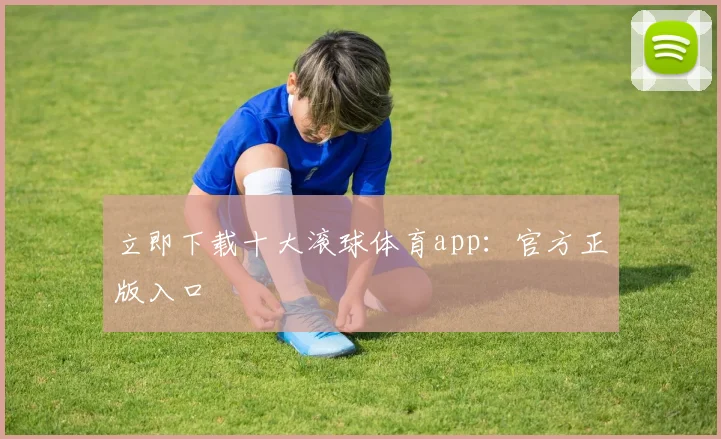 立即下载十大滚球体育app：官方正版入口