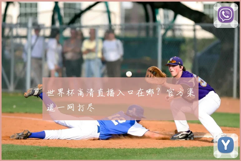世界杯高清直播入口在哪？官方渠道一网打尽